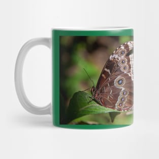 Butterfly. Mug